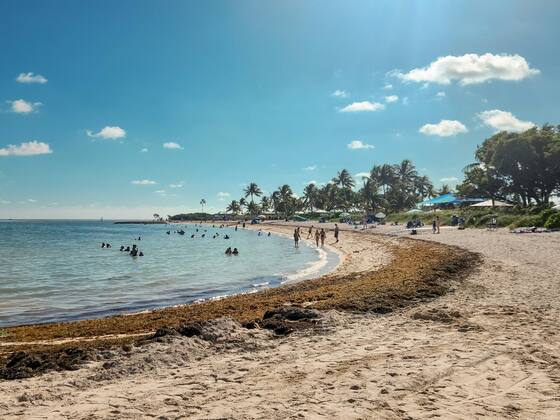 Sandy beach with people swimming